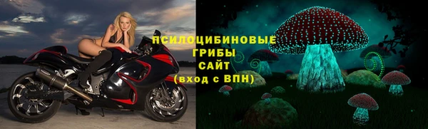 молекула духа Вяземский