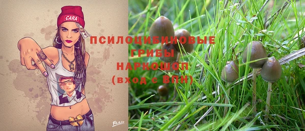 молекула духа Вяземский