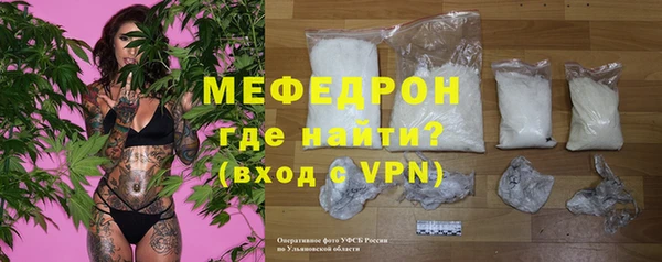 молекула духа Вяземский