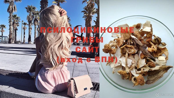 молекула духа Вяземский