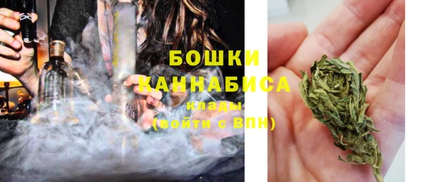 крисы Верея