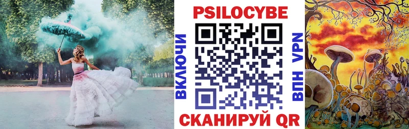 Псилоцибиновые грибы прущие грибы  сайты даркнета Telegram  Заволжье  купить наркотик 